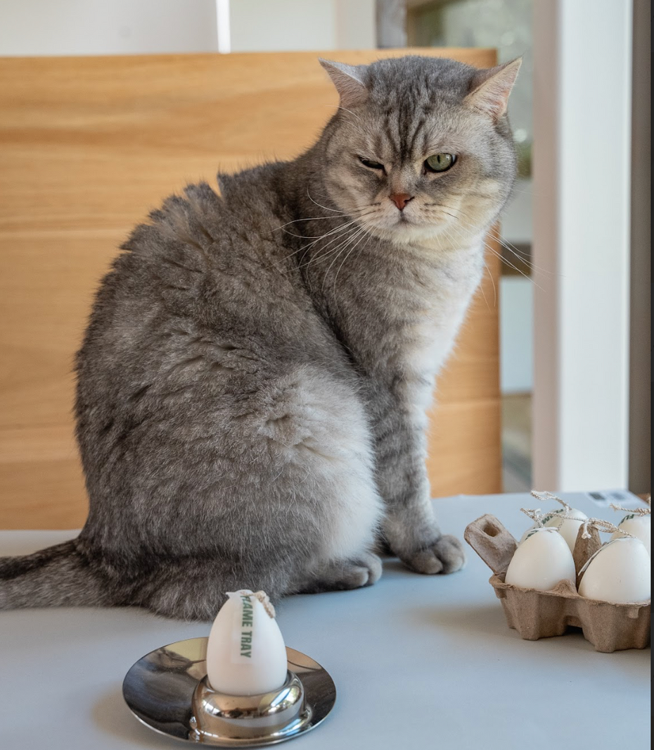 Unveiling the Elegance: A Visual and Sensory Journey with the Ingenious Egg-Shaped Candle